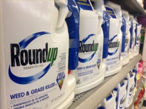 Bottles of Roundup (Glyphosate) on Store Shelf