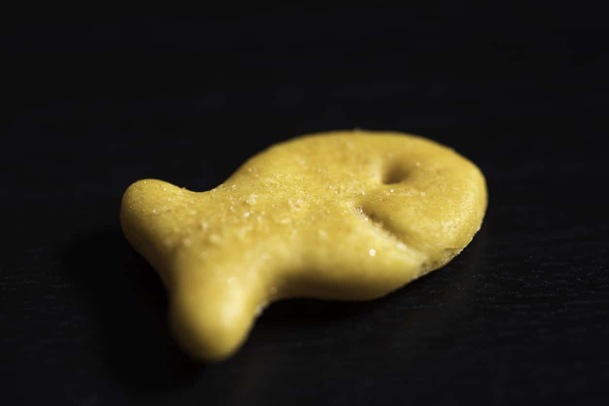 Goldfish Crackers Food Poisoning Recall Lawsuit
