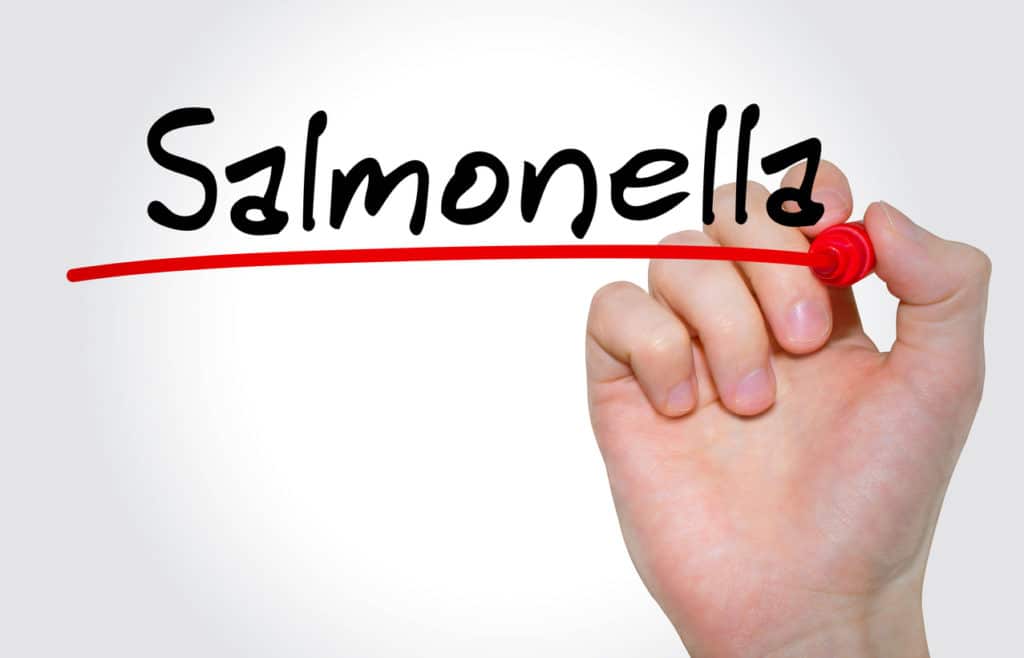 hand writing salmonella with marker