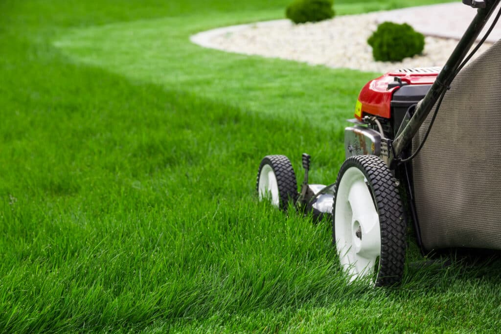 Honda Lawnmower and Pressure Washer Engines Recall Lawsuit Johnson